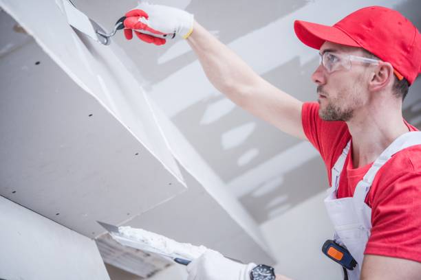 Professional Painting & Drywall Services in Blue Ridge, GA